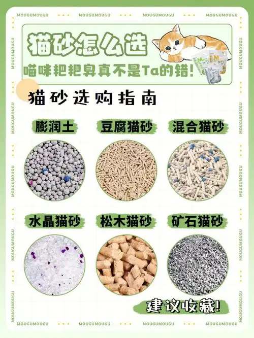 市面上猫砂种类众多,不合适的猫砂会引起猫猫一系列健康问题7215