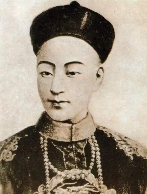 同治光绪宣统三位皇帝都无子嗣那么他们三位的血缘关系是