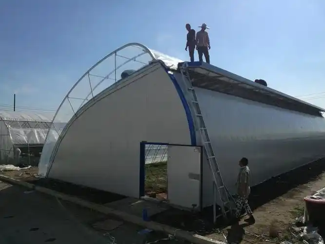 温室(暖棚)示范工程_长春市耐尔双膜温室研发有限公司