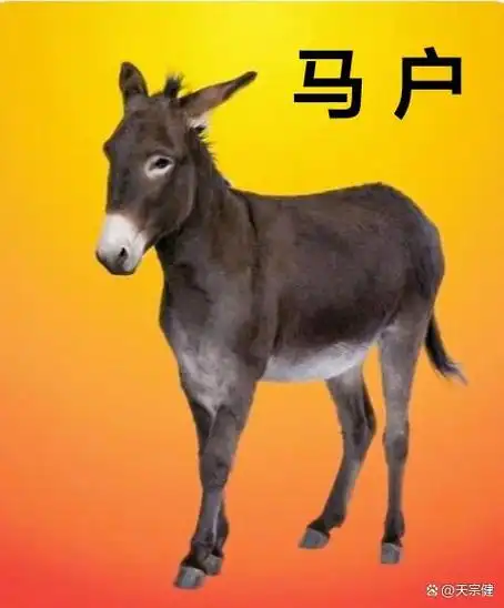 刀郎的歌曲《罗刹海市》全球播放量已达300多亿,超越吉尼斯世界纪录.