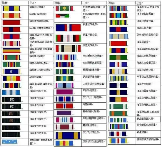 这种像"马赛克"一样的装饰物名叫"勋略表",也叫级别资历章,是很多国家