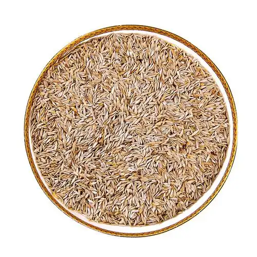 生菜籽的功效有哪些揭秘生菜籽三大功效