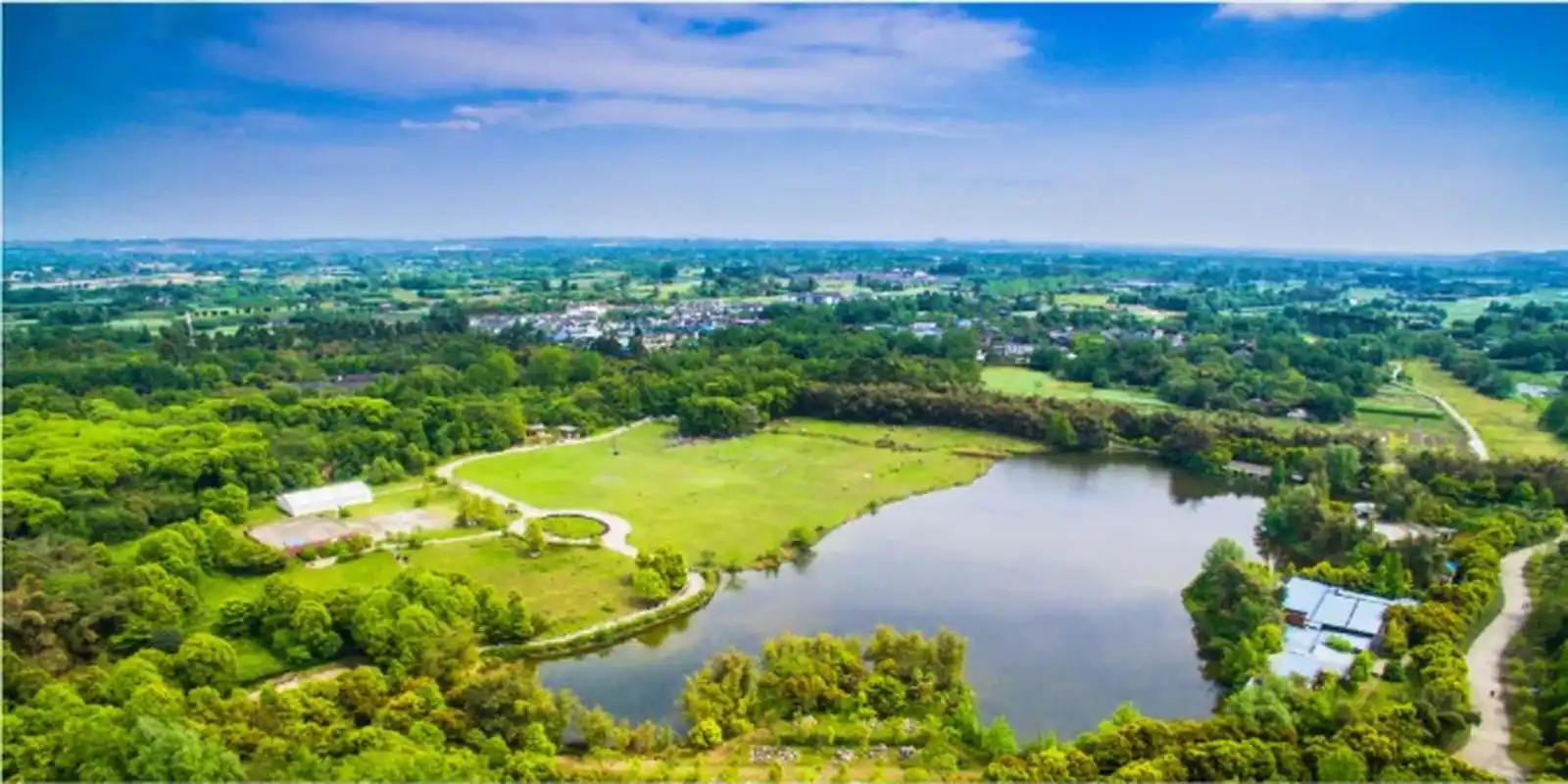 斑竹林 在新津区,有一处以斑竹文化为特色的胜地——斑竹林景区.