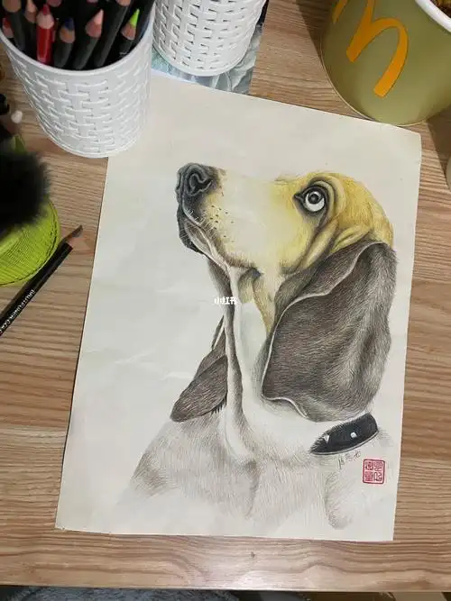 彩铅狗狗