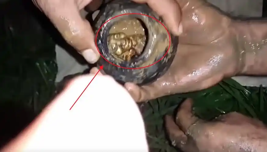 要发财了,但也有人说这可能是跟山上什么坟墓里冲出来的不吉利的东西