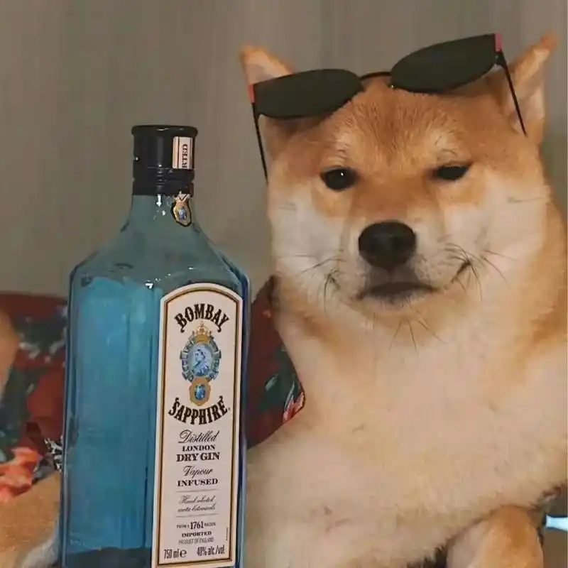 可爱小柴头像 快乐修勾小柴犬头像