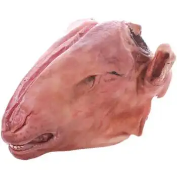 新鲜带皮羊头4斤新鲜生羊头整只生鲜羊杂羊头肉大菜园