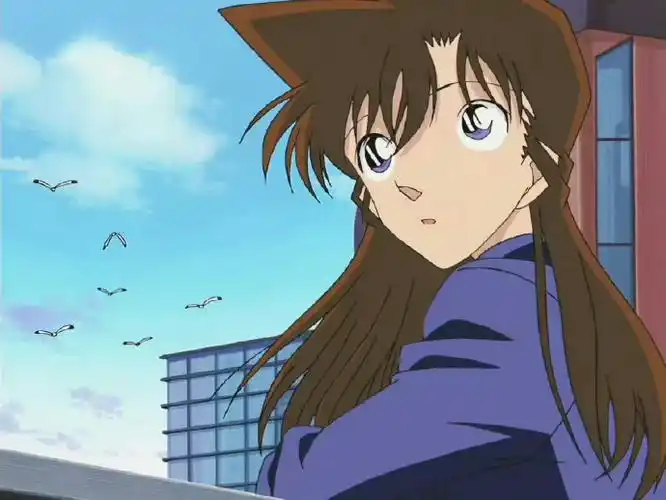 名侦探柯南##毛利兰##毛利兰蝉联第一