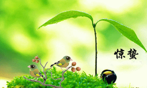 惊蛰养生有妙招,分享给你请记牢,起居规律作息好,不可贪图睡懒觉,护眼