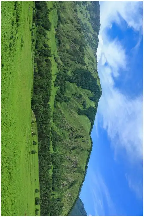 新疆风光无限好