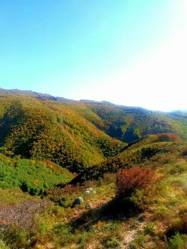 帮忙转发一下朋友圈,国庆10号封山,景区 写美篇国家4a森林公园,舍近