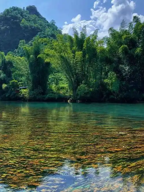 守护绿水青山,尽享山清水秀之美