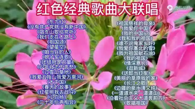 红色经典歌曲大联唱