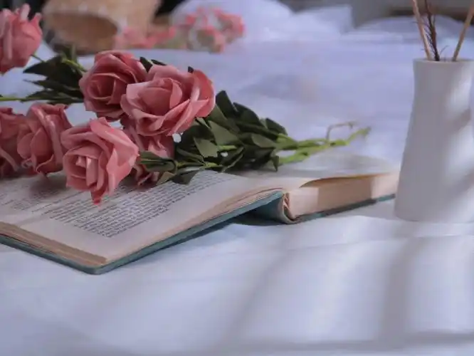 书与花