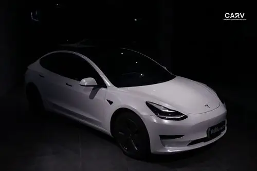 大珠光白2001 特斯拉model3_手机搜狐网