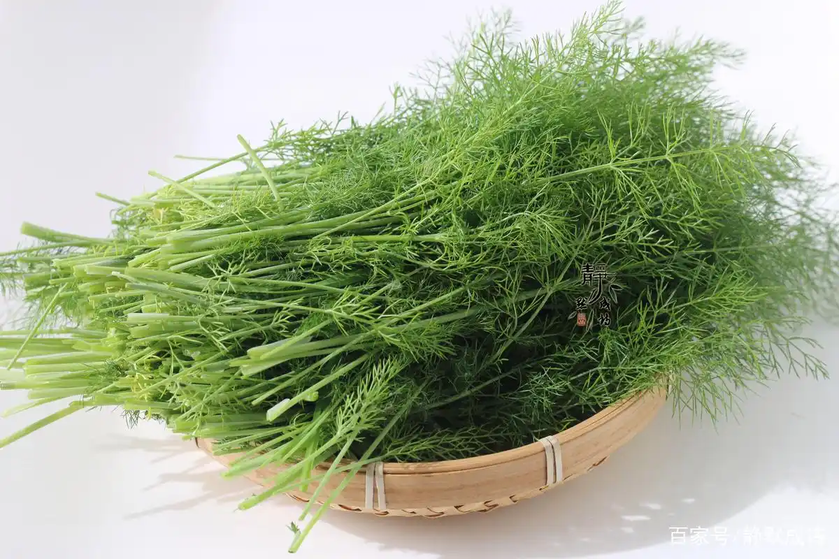 茴香别总包饺子了,上锅蒸8分钟,是菜又是饭,比饺子还香