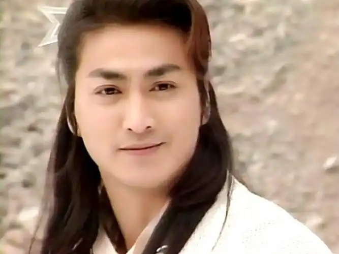 中国美男:何家劲