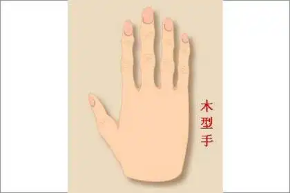 分析木形手的手相财运运势