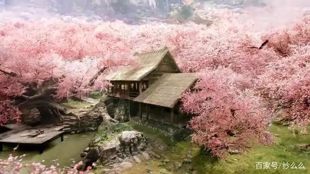 《宸汐缘》灵汐住的地方,夸父桃林图片