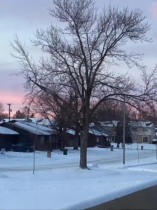 似兰斯馨 的想法: 黄昏下的雪景