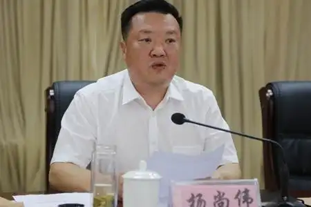 图为安康市副市长杨尚伟出席并发表讲话