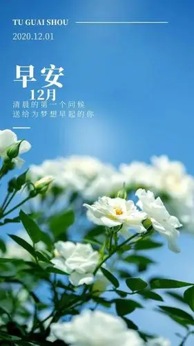 12月1日早安风景因走过而美丽命运因美丽而精彩