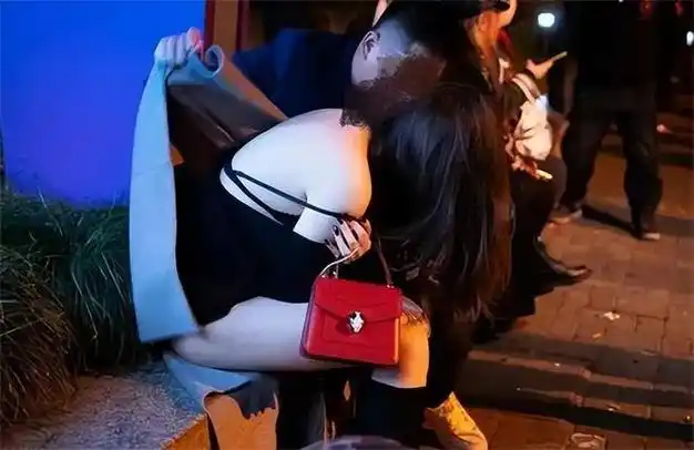 案例河北一美女喝酒后醉倒在花坛惨遭四名陌生男子轮流捡尸