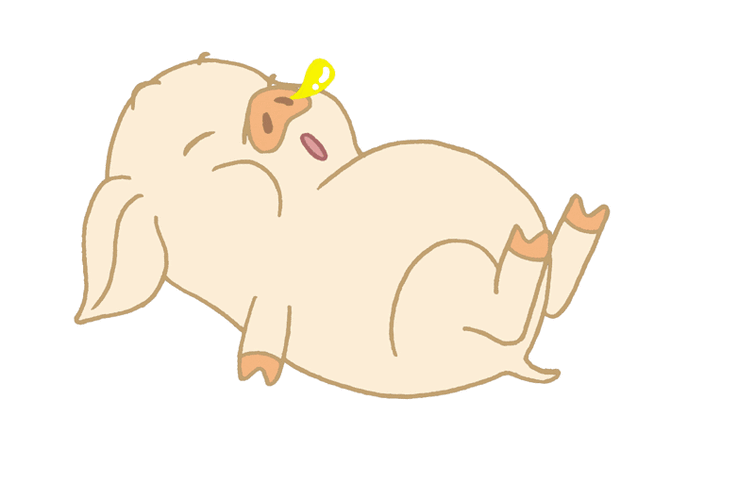 800_530gif 动态图 动图