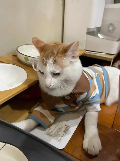 一脸沧桑地一边看报纸一边摘眼镜.