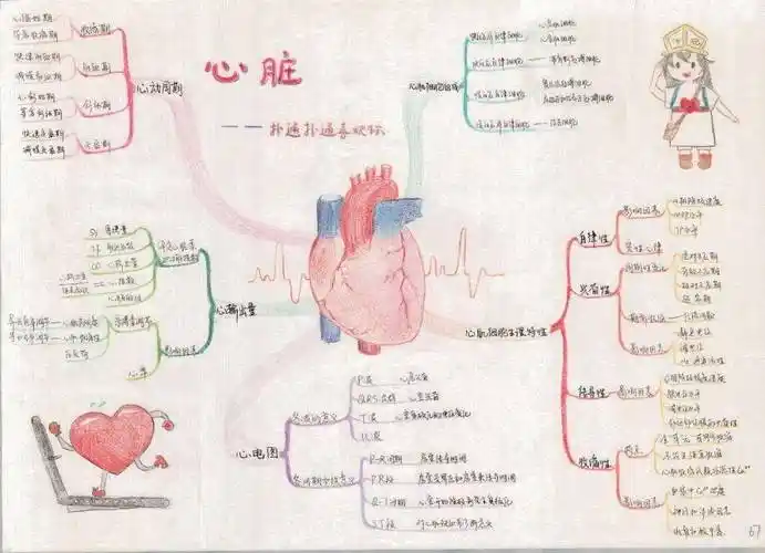 基础医学院第一届大学生理学思维导图绘图大赛