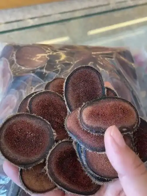 长白山鹿茸片