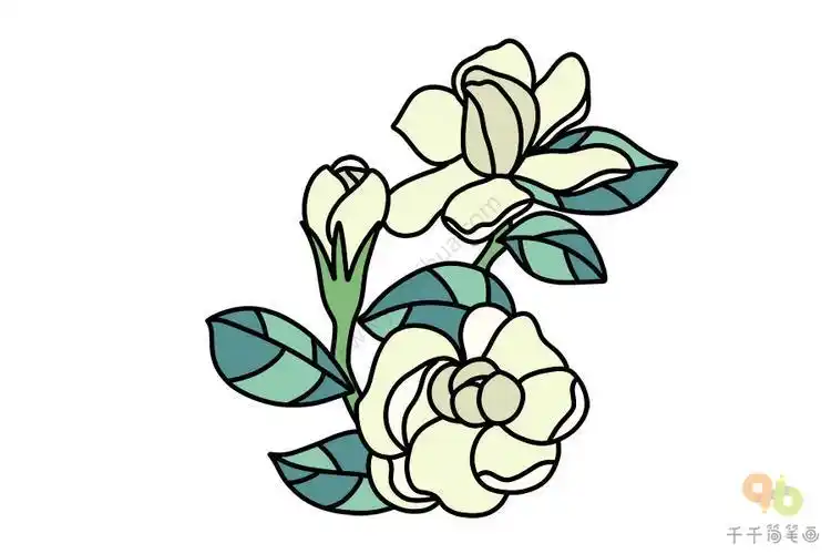 紫茉莉花简笔画 简笔画图片大全-蒲城教育文学网