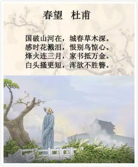 一日一诗475春望唐杜甫