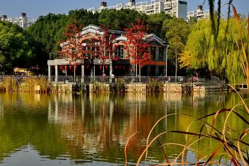 秋色中的金桥公园