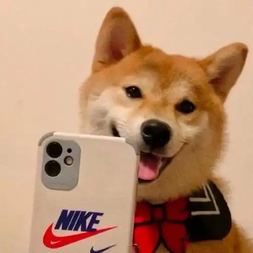 头像丨男生总有些惊奇的际遇