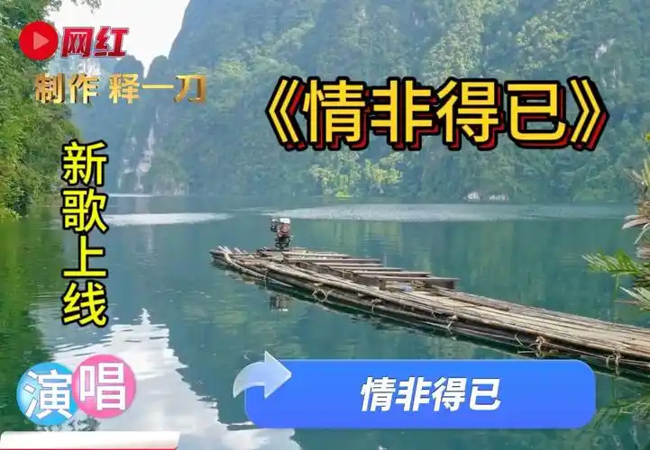 新歌上线:《情非得已》,有没有一情叫人不伤心,听一遍就醉了