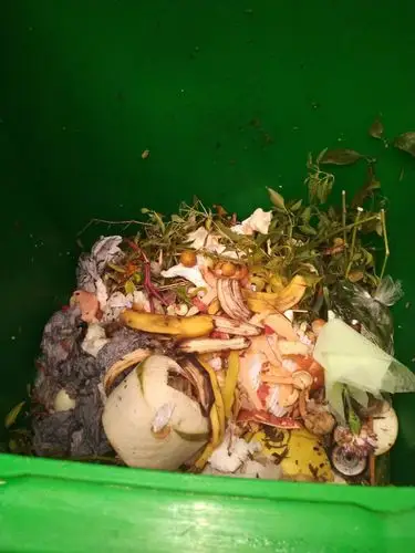 国信苑厨余垃圾0.33吨