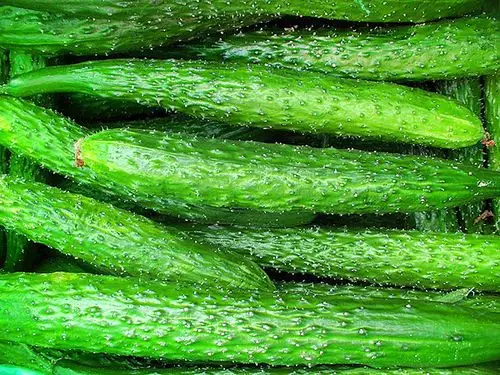 黄瓜图片_图片大全