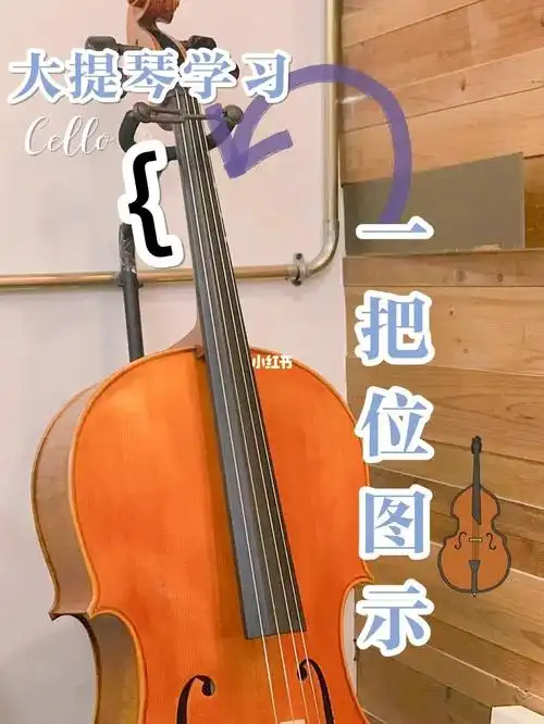 cello一张图看明白大提琴一把位存图哟