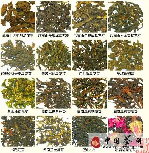 一张图 从外观上认识所有名茶