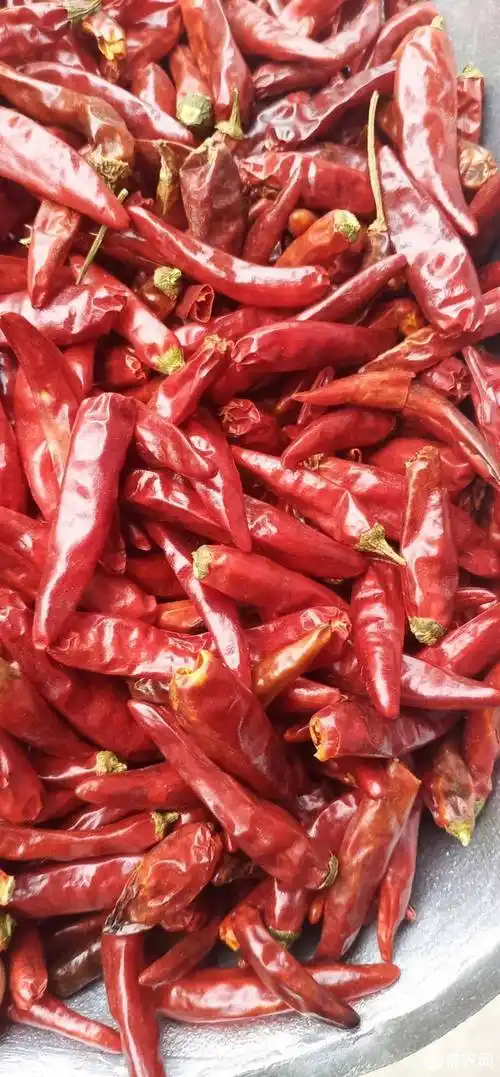 内黄新一代干辣椒