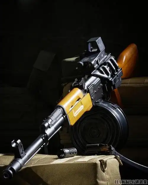 中国81m步枪登陆加拿大 号称有史以来最好的81式 都有哪些改进?