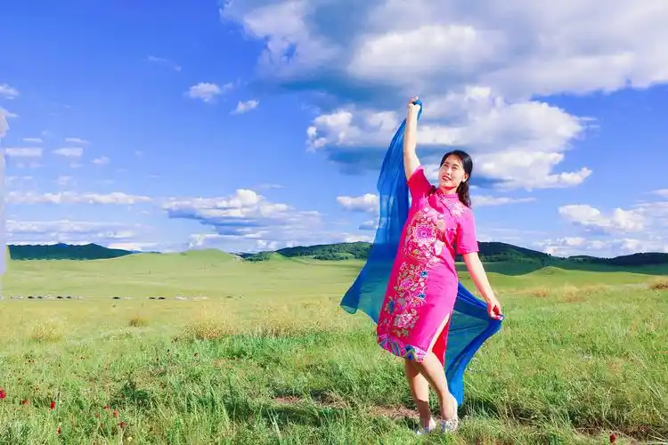 乌兰布统大草原是距京津冀地区较近的风景区,8月又是草原最美的季节.