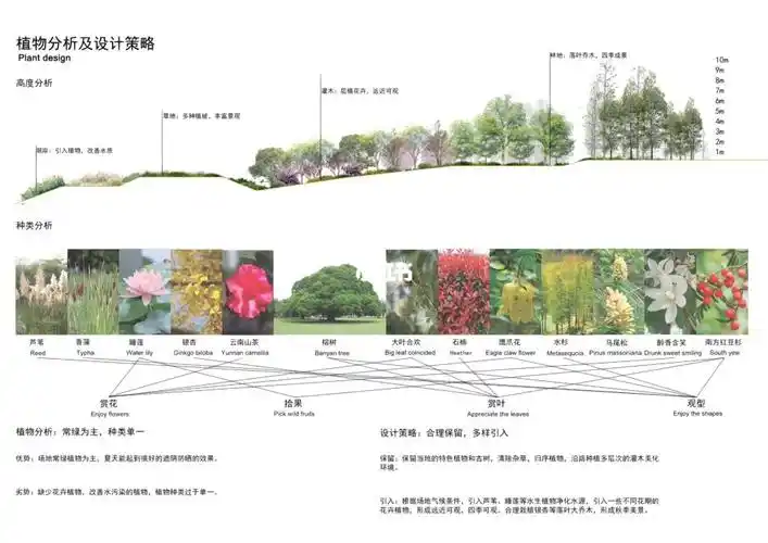 【高清植物配置分析图psd素材大合集】