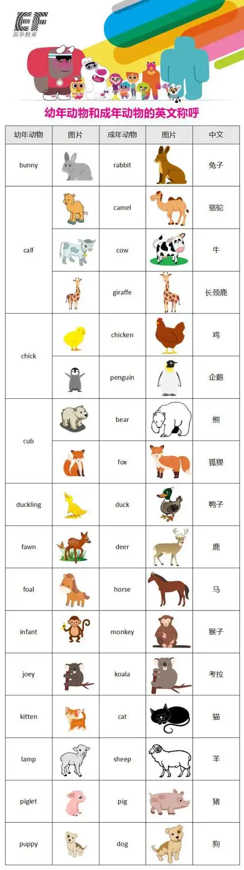 趣味学英语:幼年动物与成年动物英文名称