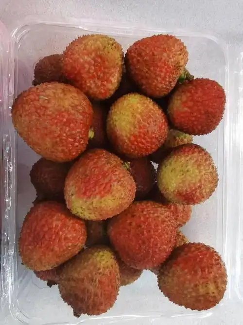 两只手一捏褪去轻薄的外壳白嫩如玉的果肉尽显眼前妃子笑荔枝就真的超