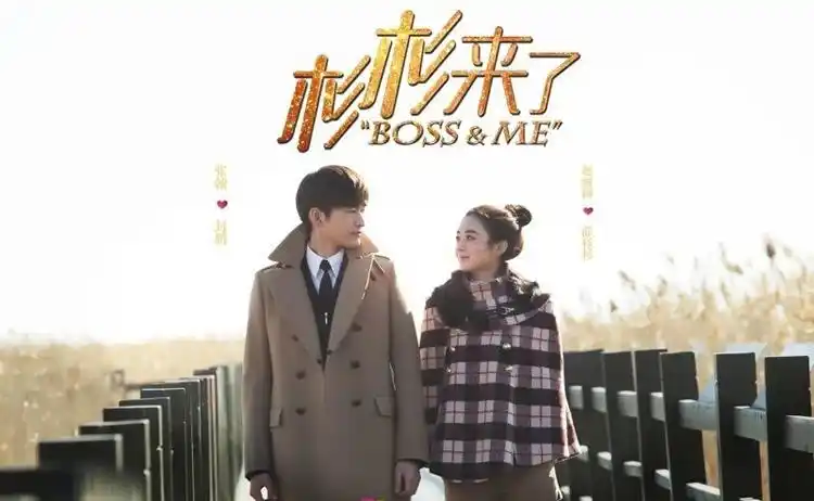 供应2014秋冬新款 杉杉来了薛杉杉明星同款韩版格子斗篷大衣毛呢外套