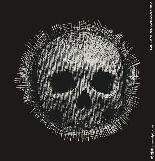 手绘线描骷髅头矢量图图片