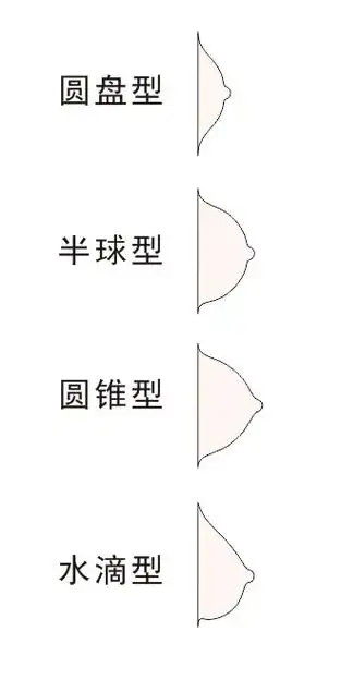 穿内衣的一些误区15324更新杯形和胸型