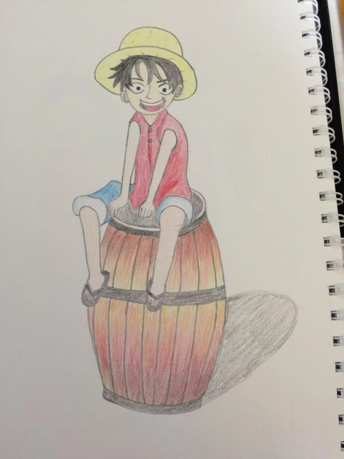 海贼王是我特别喜欢的一部动漫.